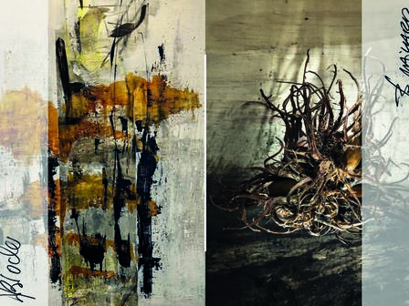 PICTURES of the MOMENT