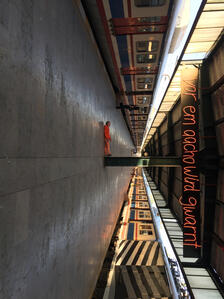 Bild von Susanne Muller 