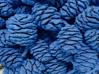 Kunstaktion blaue Bäume