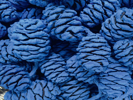 Kunstaktion blaue Bäume