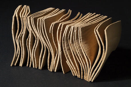 Vereinsausflug KML ins Holzbildhauerei Museum Brienz